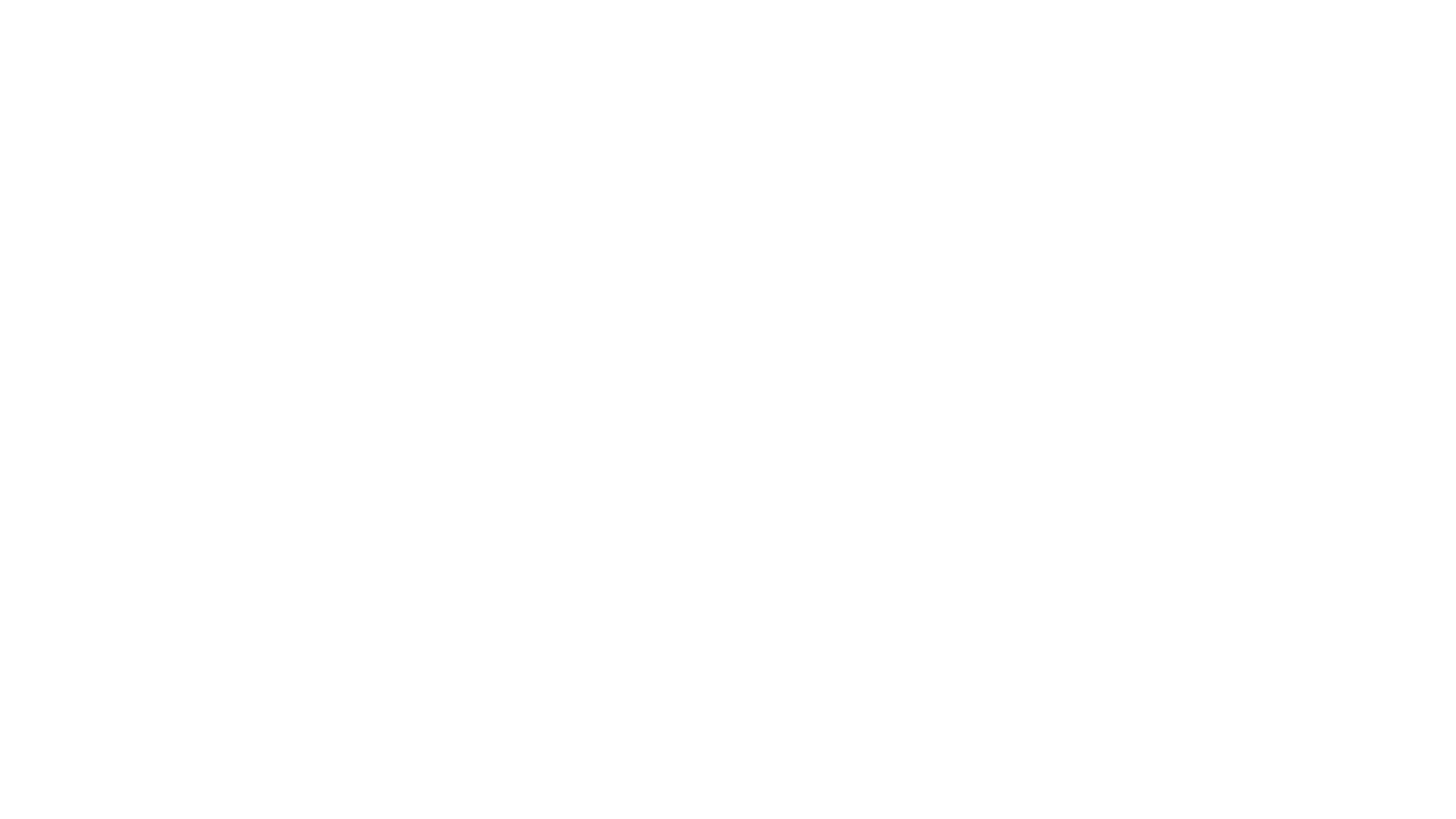 CANAL 13 LOGO WHITE