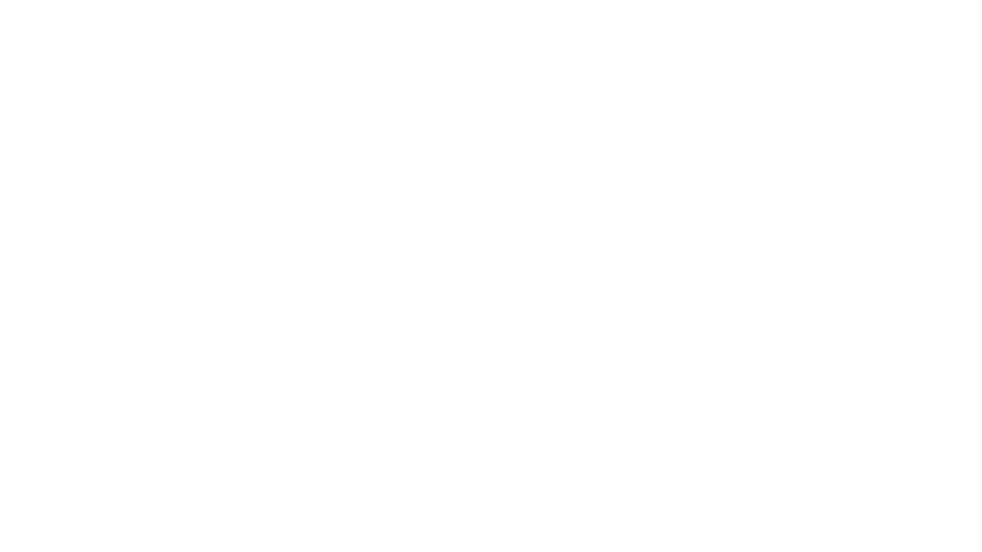 canal 11 logo white